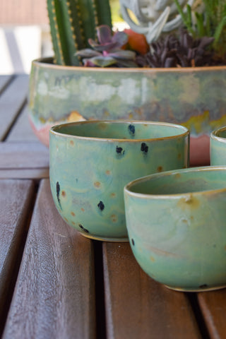 Tasse allongé cactus