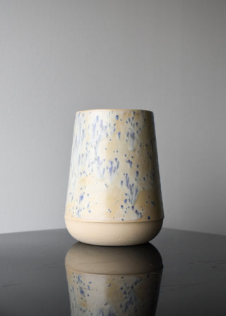 Vase electricus