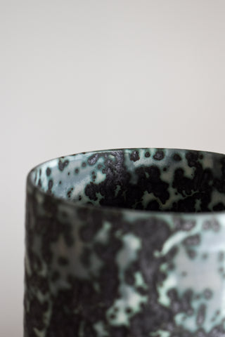 Vase 1B lunaria