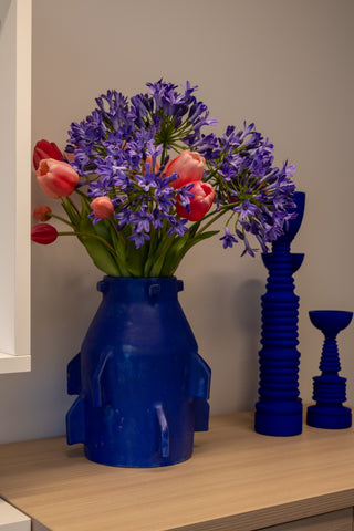 Vase electricus