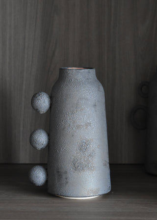 Vase 3B carbonis