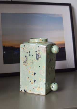 Vase 2B Cactus