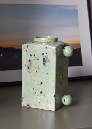 Vase 2B Cactus