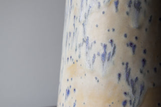 Vase electricus