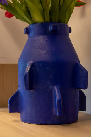 Vase electricus