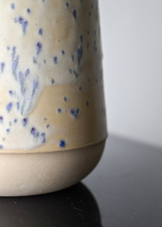 Vase electricus