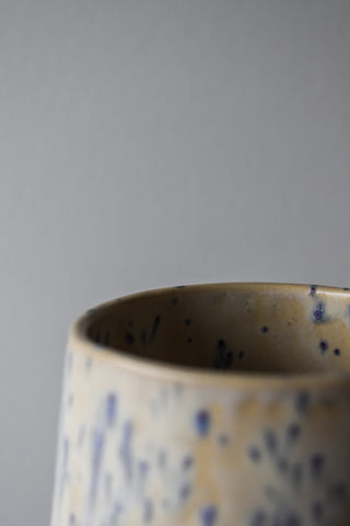 Vase electricus
