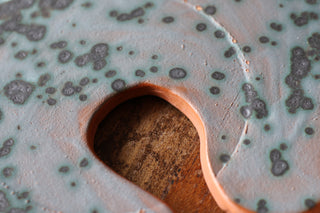 Assiette Picasso lunaria