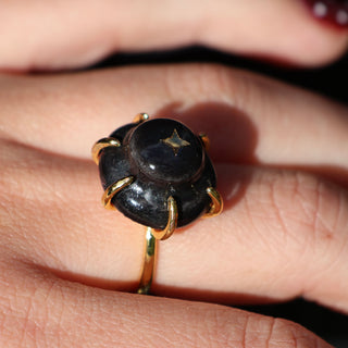 Bague Marius montée